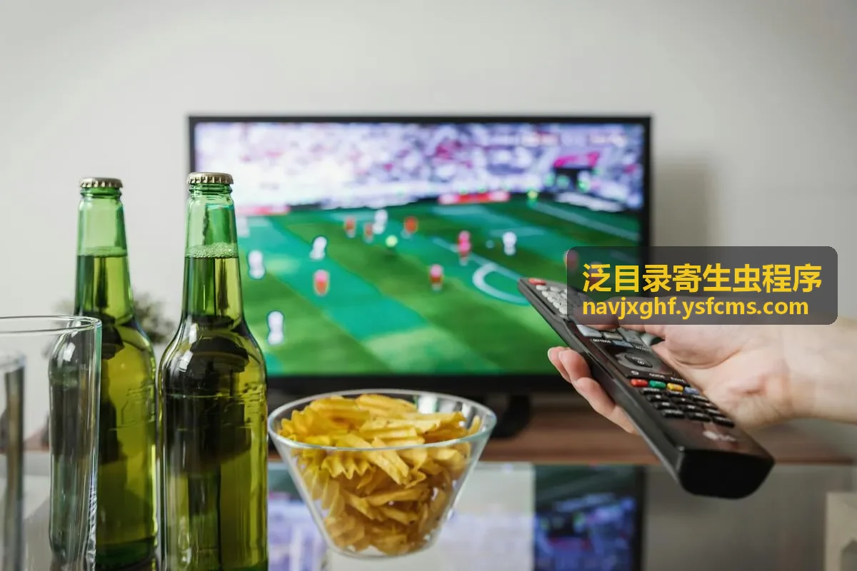 泛目录最新异常目录检查示意